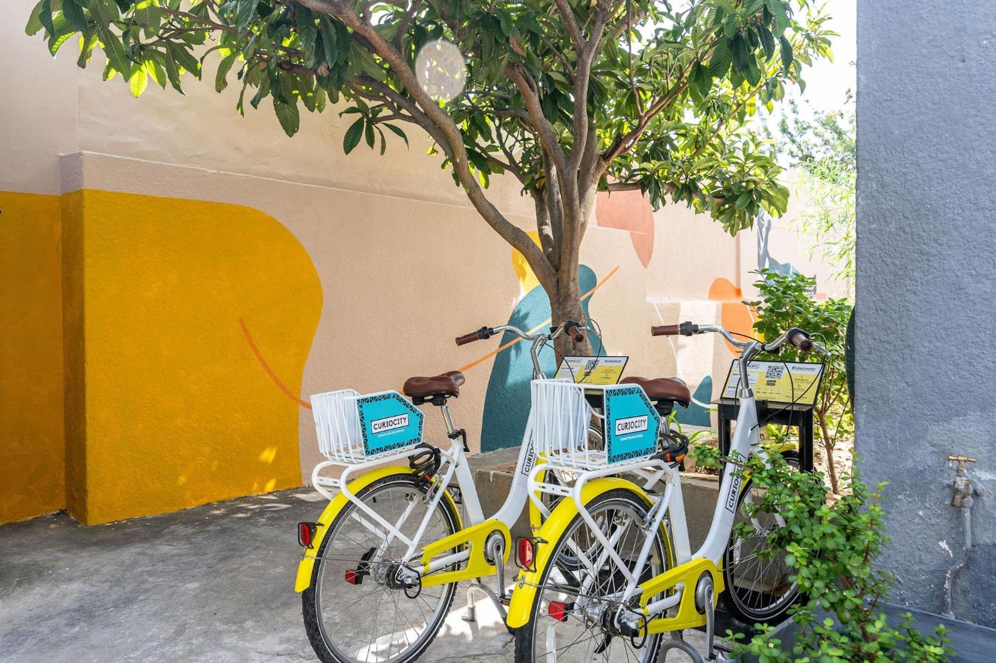 Curiocity Kloof Street Κέιπ Τάουν Εξωτερικό φωτογραφία